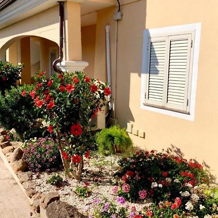 Апартаменты Casa Dolce Hibiscus Ольбия Экстерьер фото