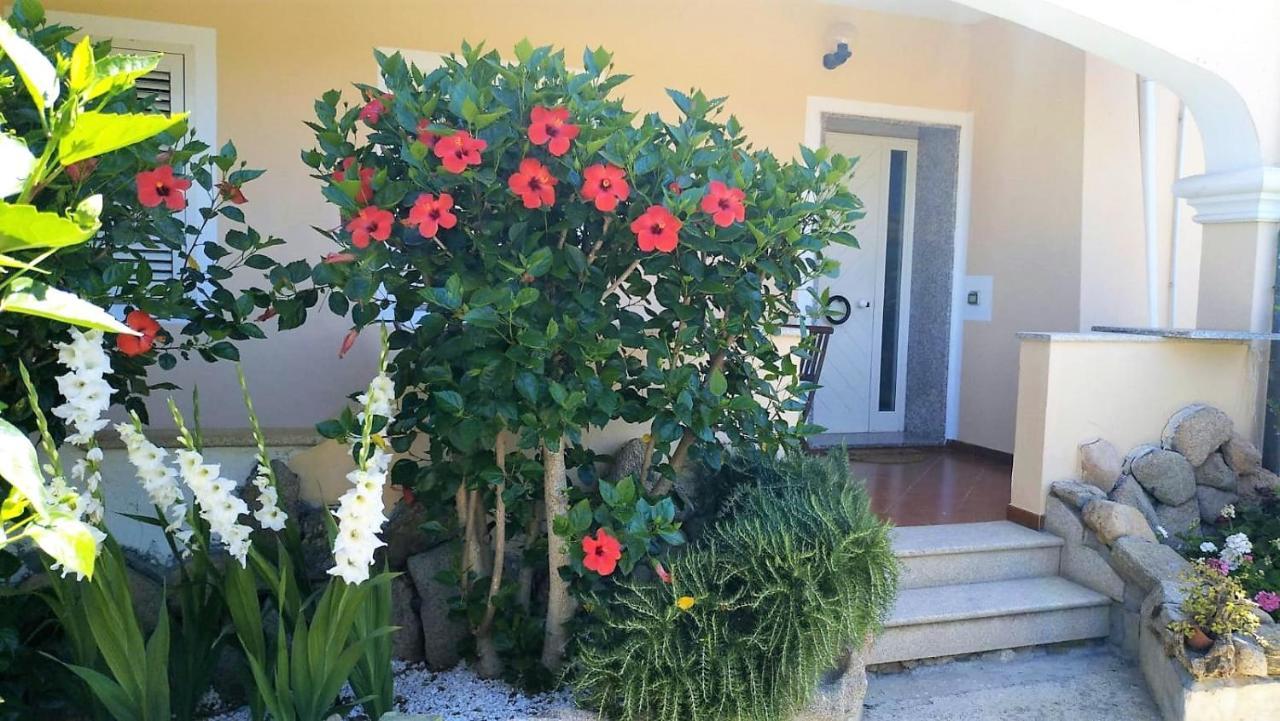 Апартаменты Casa Dolce Hibiscus Ольбия Экстерьер фото