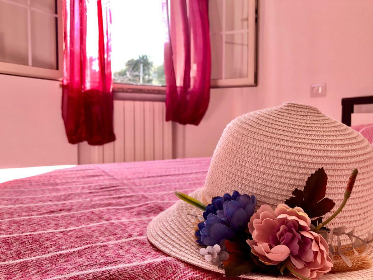 Апартаменты Casa Dolce Hibiscus Ольбия Экстерьер фото